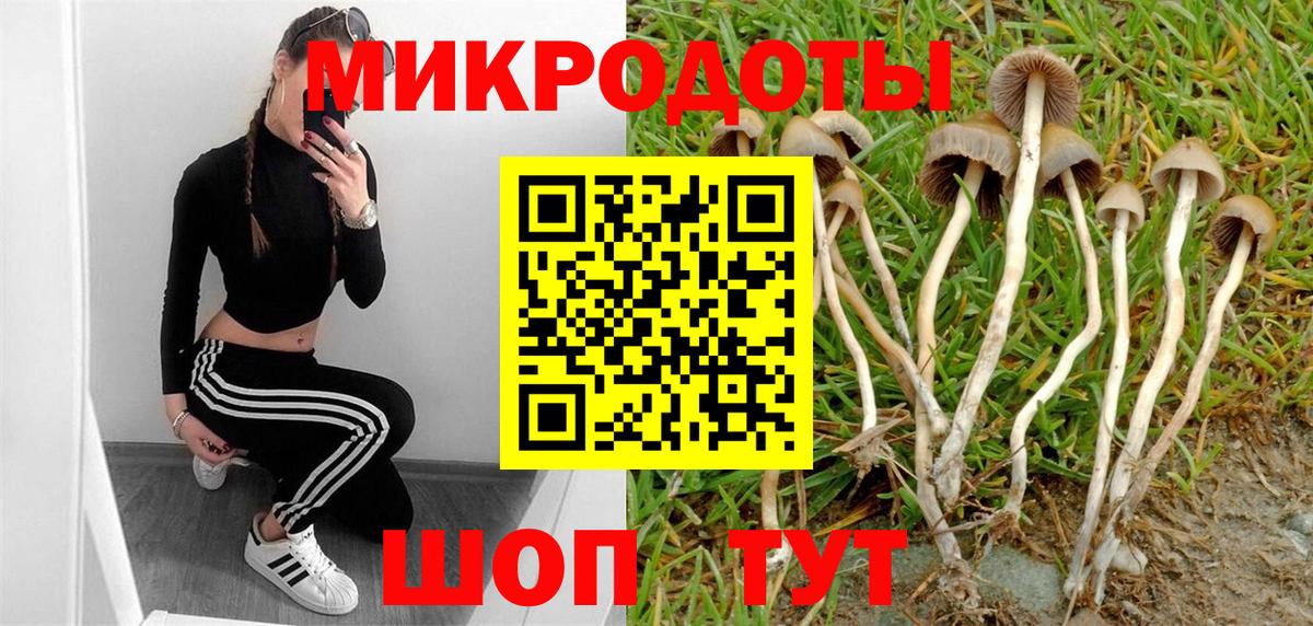 Галлюциногенные грибы мухоморы Баксан