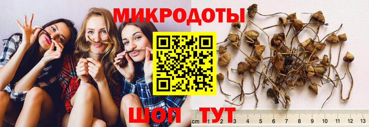 Баксан  цена   Вход с VPN  Галлюциногенные грибы мухоморы 